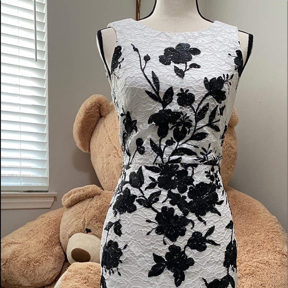 Lacy dress from DNKY